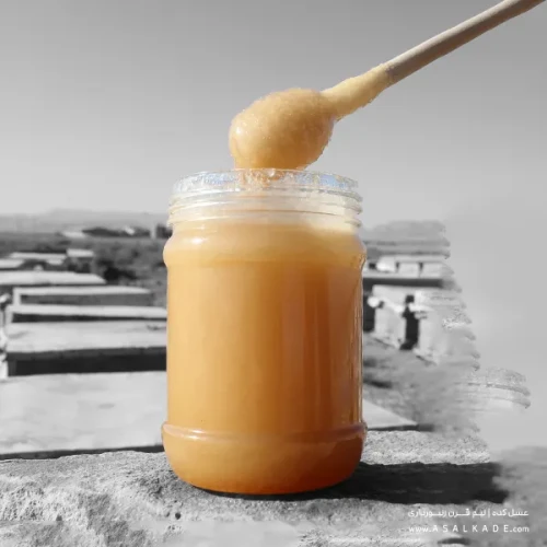 عسل رویال تقویتی ارگانیک 250 گرمی