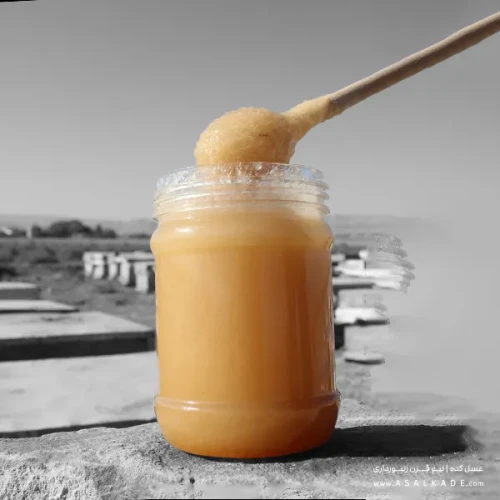 عسل رویال تقویتی ارگانیک 500 گرمی